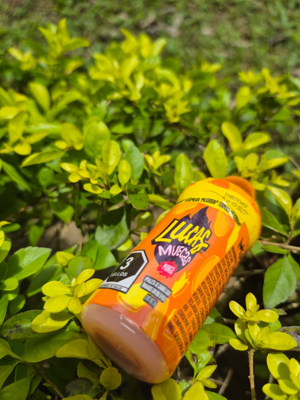 Lucas Muecas Mango 1Und